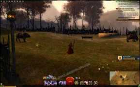 gw2.mmorpg-life.com Bovarin