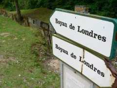 Boyau