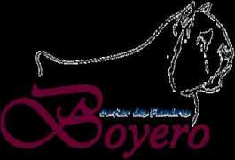 Boyero