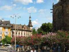 claus-seyfried.de Bozen