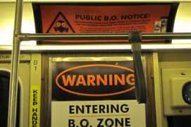 Bozone