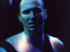 debris.com Bozzio