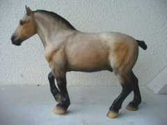 ponylagoon.muerte.net Brabant