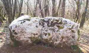 charente.angouleme.free.fr Braconne