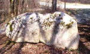 charente.angouleme.free.fr Braconne