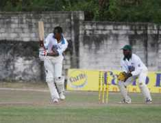 caribzones.com Braddie