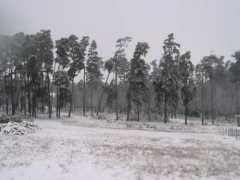 panoramio.com Bradet