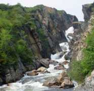 tourismlowernorthshore.com Brador