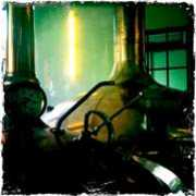 fotoblur.com Braico