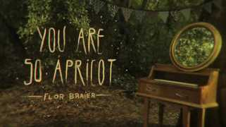 seekavideo.com Braier