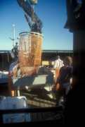 alaska.cccrow.com Brailer