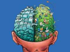 avisualplanet.com Brain