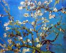 vangoghaventure.com Bramand