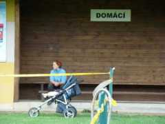 Bramax