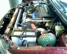 scionlife.com Brammi