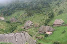 panoramio.com Branas