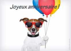 lemonde.fr Brancha