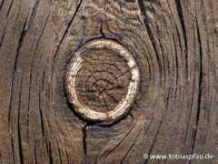 tobiaspfau.de Branche