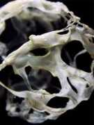 archinect.com Branchesi