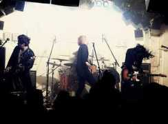 livespot2000.com Brandel