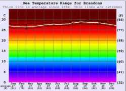 surf-forecast.com Brandons