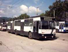Brandusoiu
