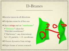 slimy.com Branes