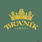 Branik