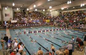 princetonswimming.com Branin