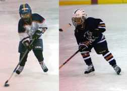 nova-icedogs.com Branley