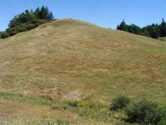 inn-california.com Branscom