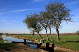 picturesofengland.com Branston