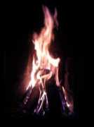 Brasa