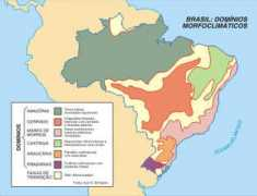 cursoobjetivo.br Brasileira