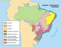 cursoobjetivo.br Brasileiras
