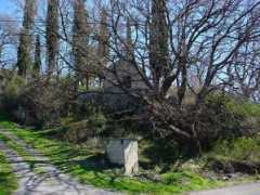 zupa-dubrovacka.hr Brasina