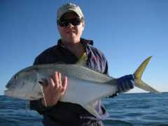 fishwrecked.com Brassie