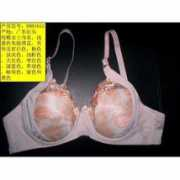 hklct.en.ecplaza.net Brassier