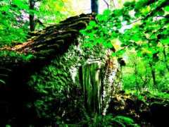 parcobike.it Bratica