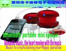 diytrade.com Braven
