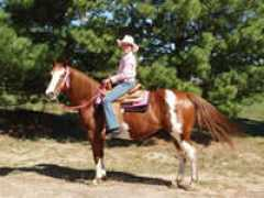houckhorsecompany.com Brayanna