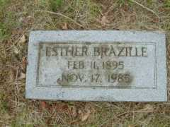 usgwarchives.net Brazille