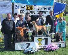 netchows.com Brcko