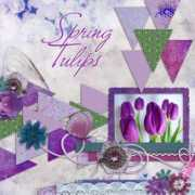 artforscrapbooking.com Breana
