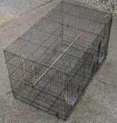 Breeder