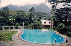 Breeta