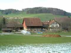 Breiti