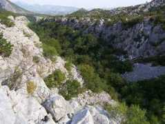 en.balcanica.info Brela