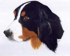 Brelle
