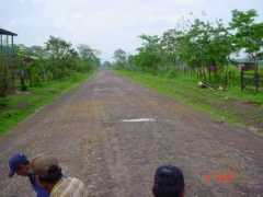 manfut.org Brenal